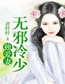 无邪冷少独爱妻