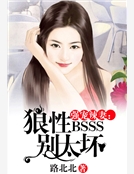 强宠辣妻：狼性boss别太坏